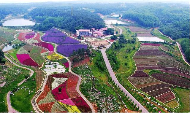k1体育在线登录湖北公安县将新建一大型农业旅游综合体总投资5亿占地18000亩(图1)